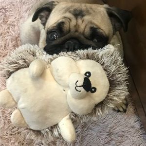 Meet your Posher, Michael